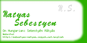matyas sebestyen business card